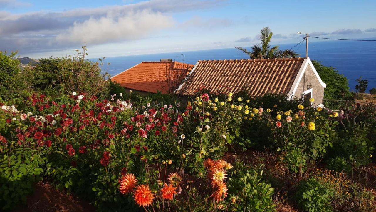 Villa Palheiro Cavalinho Prazeres Exterior foto